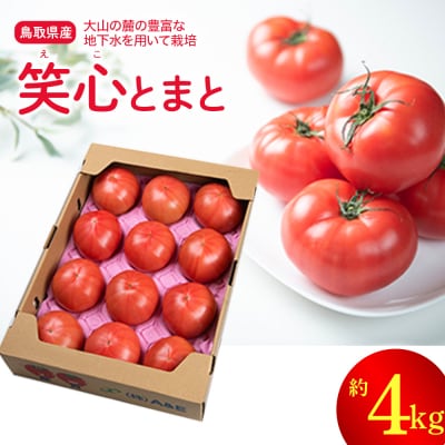 鳥取県産笑心とまと(4kg)トマト 新鮮 野菜 