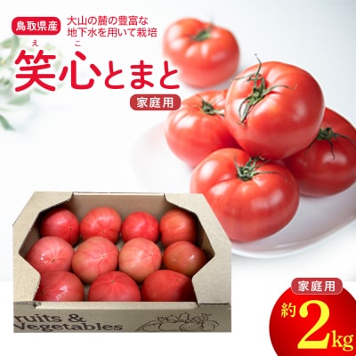 鳥取県産笑心とまと(2kg) (家庭用・簡易包装) トマト 新鮮 野菜 