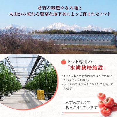鳥取県産笑心とまと(2kg) (家庭用・簡易包装) トマト 新鮮 野菜 
