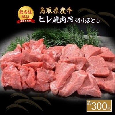 【鳥取県産牛】ヒレ焼肉用 切り落とし (約300g) KR0378 国産 牛肉　