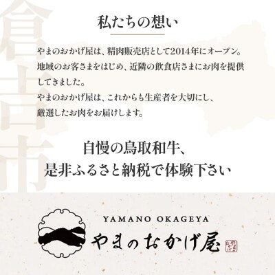 【鳥取県産牛】ヒレ焼肉用 切り落とし (約300g) KR0378 国産 牛肉　