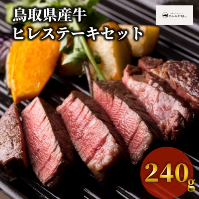鳥取県産牛 ヒレステーキ 2枚(計約240g)KR170 国産牛 希少部位