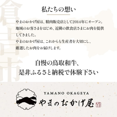 鳥取県産牛 ヒレステーキ 2枚(計約240g)KR170 国産牛 希少部位