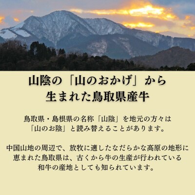 鳥取県産牛 ホホ肉 約600g 煮込み用 カット済み 国産 KR0319