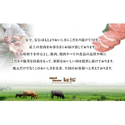 鳥取和牛オレイン55カレー5個セット 牛肉 和牛 肉 お肉 黒毛和牛 カレー レトルト