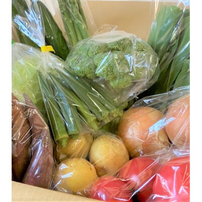 季節のお野菜セット(7～10種) 野菜 やさい 国産野菜 野菜詰め合わせ