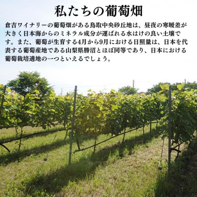 倉吉ワイン「実結」カベルネ・メルロー