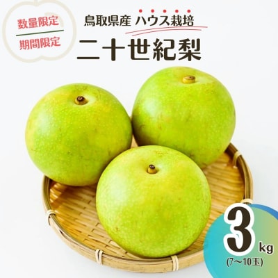 【先行受付】ハウス二十世紀梨 3kg【鳥取県産】(生橋農園)梨 果物