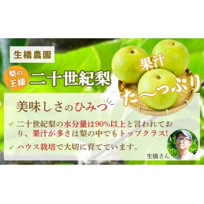 【先行受付】ハウス二十世紀梨 3kg【鳥取県産】(生橋農園)梨 果物