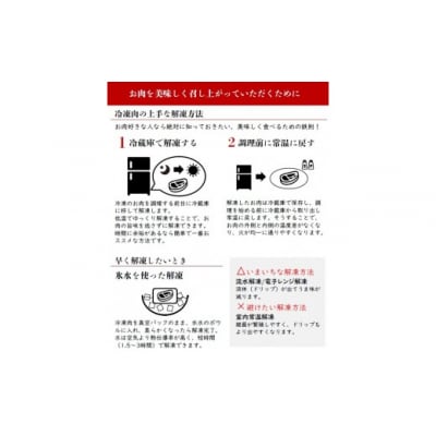 鳥取県産牛 ヒレ ステーキ セット 約120g 牛肉 ヒレ ヒレ肉 ヒレステーキ 国産牛 KR169