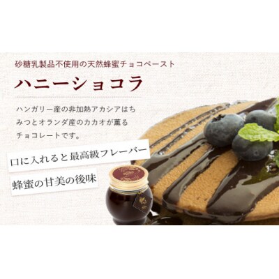 ナッツの蜂蜜漬け&ハニーショコラセット はちみつ アカシア ナッツ スイーツ