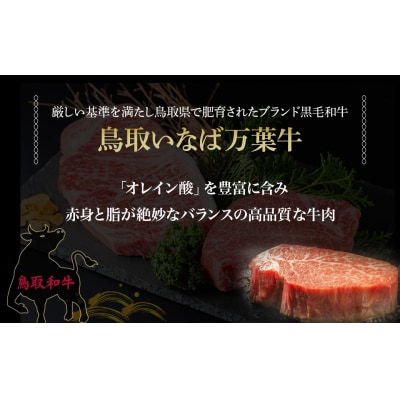 鳥取いなば万葉牛 シャトーブリアン・サーロインステーキセット (約150g×2)
