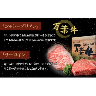 鳥取いなば万葉牛 シャトーブリアン・サーロインステーキセット (約150g×2)