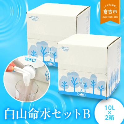 白山命水セットB(10リットル×2箱) ミネラルウォーター 国産 水 白山命水 天然水