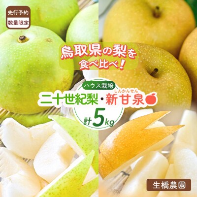 ハウス新甘泉とハウス二十世紀梨 セット 5kg 【鳥取県産】(生橋農園)