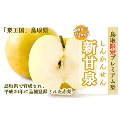 ハウス新甘泉とハウス二十世紀梨 セット 5kg 【鳥取県産】(生橋農園)