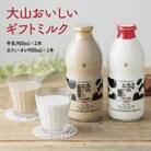 大山おいしいギフトミルク 牛乳 カフェオレセット (900ml×3)