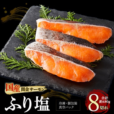 【1切れずつ真空冷凍】 関金サーモン ふり塩切り身 480g(60g×8切れ) 鮭 さけ シャケ