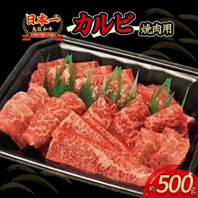 鳥取和牛　焼肉用　カルビ　500g 国産 牛肉 焼肉 和牛 上カルビ 黒毛和牛 KR0376