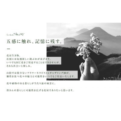 地元の花屋さんオススメの寄せ鉢 お花 花束 ギフト 寄せ鉢