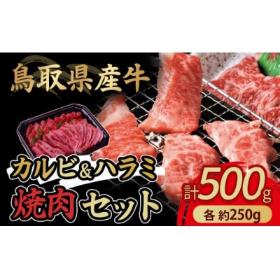 鳥取県産牛 カルビ&ハラミ焼肉セット 国産 牛肉 焼肉 カルビ ハラミ セット 肉 鳥取県 倉吉市