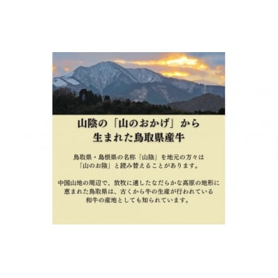 鳥取県産牛 カルビ&ハラミ焼肉セット 国産 牛肉 焼肉 カルビ ハラミ セット 肉 鳥取県 倉吉市
