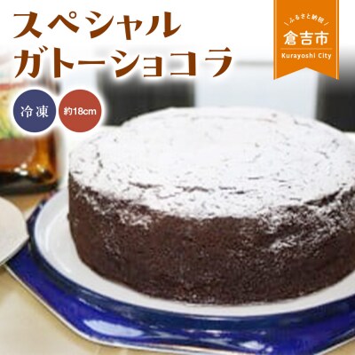 スペシャルガトーショコラ スイーツ チョコレート ケーキ 冷凍 誕生日 贈り物 手土産 ケーキ