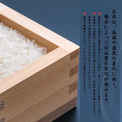 【数量限定】【令和6年産米】鳥取県産 コシヒカリ (5kg) パールライス こめ 白米 こしひかり