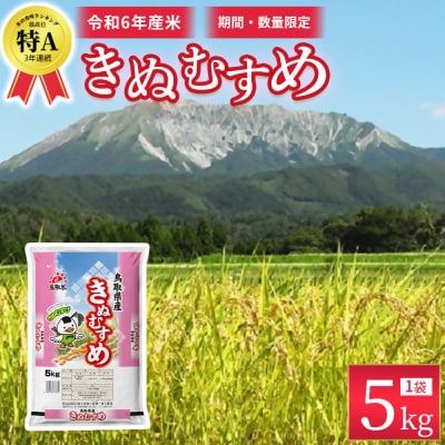 【数量限定】【令和6年産米】鳥取県産 きぬむすめ (5kg) パールライス 精米 こめ コメ 白米 
