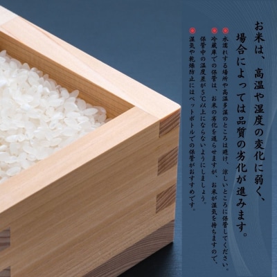 【数量限定】【令和6年産米】鳥取県産 きぬむすめ (5kg) パールライス 精米 こめ コメ 白米 