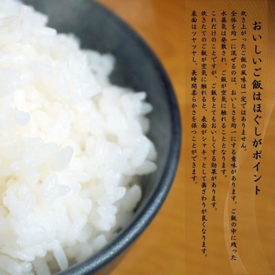 【数量限定】【令和6年産米】鳥取県産 きぬむすめ (5kg) パールライス 精米 こめ コメ 白米 