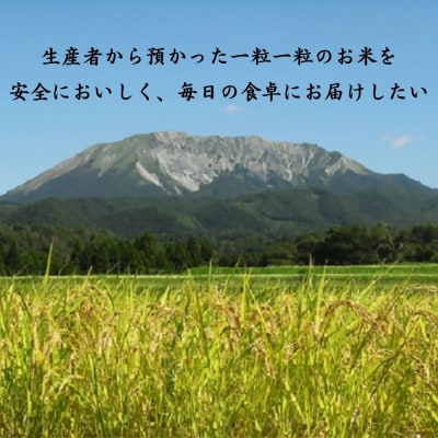 【数量限定】【令和6年産米】鳥取県産 きぬむすめ (5kg) パールライス 精米 こめ コメ 白米 