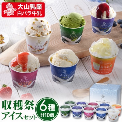 【大山乳業】収穫祭 アイス6種セット 詰め合わせ スイーツ 食べ比べ アイス 白バラ牛乳