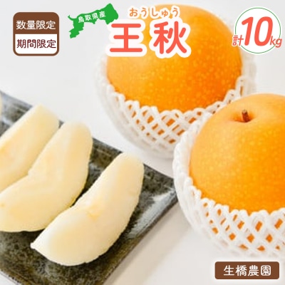 王秋 10kg(生橋農園) 鳥取県産 梨 鳥取 果物 フルーツ 王秋 和梨 数量限定 詰め合わせ 旬