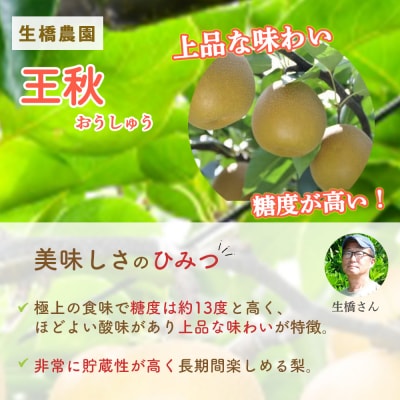 王秋 10kg(生橋農園) 鳥取県産 梨 鳥取 果物 フルーツ 王秋 和梨 数量限定 詰め合わせ 旬