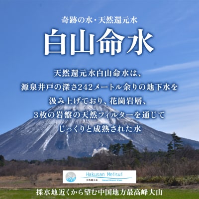 白山命水 セットE 12回定期便(ペットボトル2L×6本入り) ミネラルウォーター 天然水 定期便