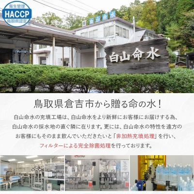 白山命水 セットE 12回定期便(ペットボトル2L×6本入り) ミネラルウォーター 天然水 定期便