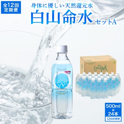 白山命水セットA 12回定期便(500ml×24本) ミネラルウォーター 国産 天然水 定期便