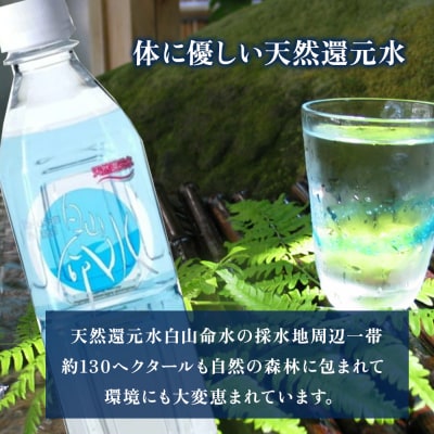 白山命水 セットD 12回定期便(10l×1箱) ミネラルウォーター 天然水 定期便