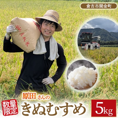【新米】【在庫限定】令和7年産米 原田さんのきぬむすめ 5kg (原田農園)数量限定 15G021