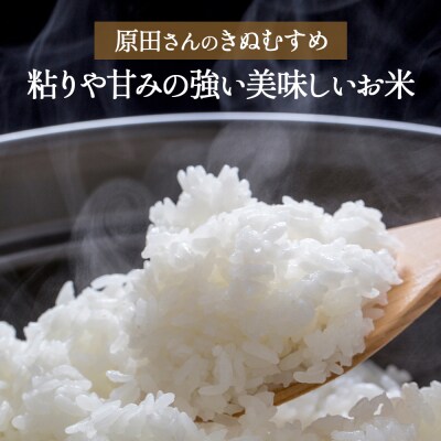 【新米】【在庫限定】令和7年産米 原田さんのきぬむすめ 5kg (原田農園)数量限定 15G021