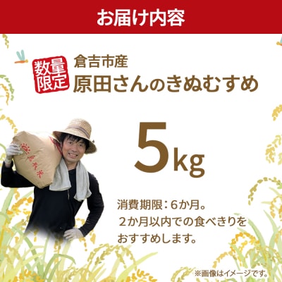 【新米】【在庫限定】令和7年産米 原田さんのきぬむすめ 5kg (原田農園)数量限定 15G021