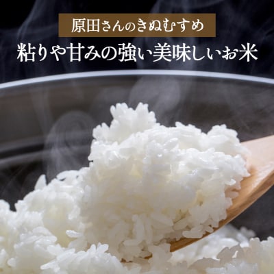 【新米】【在庫限定】令和7年産米 原田さんのきぬむすめ 10kg (原田農園)数量限定 30G009