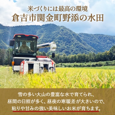 【新米】【在庫限定】令和7年産米 原田さんのきぬむすめ 10kg (原田農園)数量限定 30G009