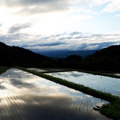 ※10月配送分【令和7産米】倉吉市産 コシヒカリ 5kg 16G024_10