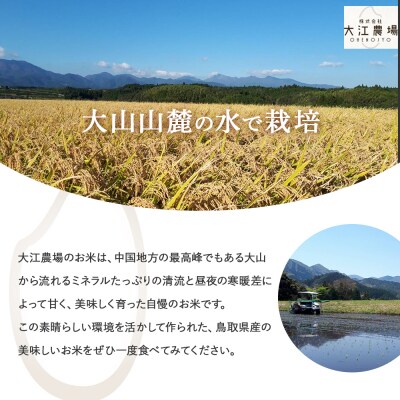 ※3月配送分【令和7産米】倉吉市産 コシヒカリ 5kg 16G024_03
