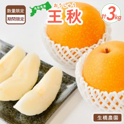 数量限定 王秋 3kg 【鳥取県産】(生橋農園) おうしゅう 果物 フルーツ 和梨
