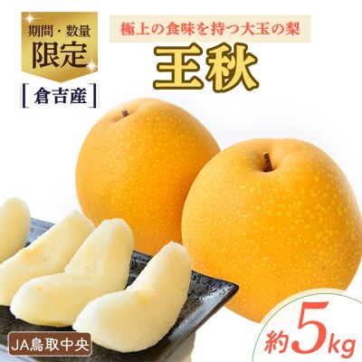 王秋 【倉吉産】5kg(JA鳥取中央) おうしゅう ブランド梨 果物 フルーツ 詰め合わせ