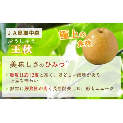 王秋 【倉吉産】5kg(JA鳥取中央) おうしゅう ブランド梨 果物 フルーツ 詰め合わせ