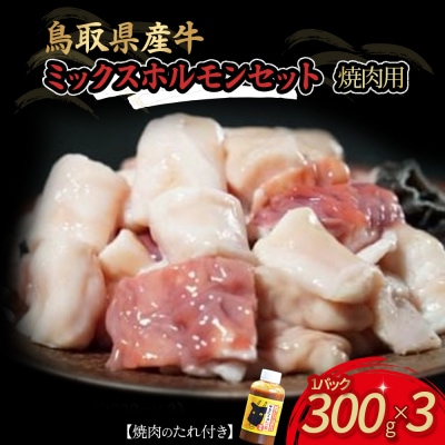鳥取県産牛　焼肉用ミックスホルモンセット 国産 ホルモン 焼肉 小分け